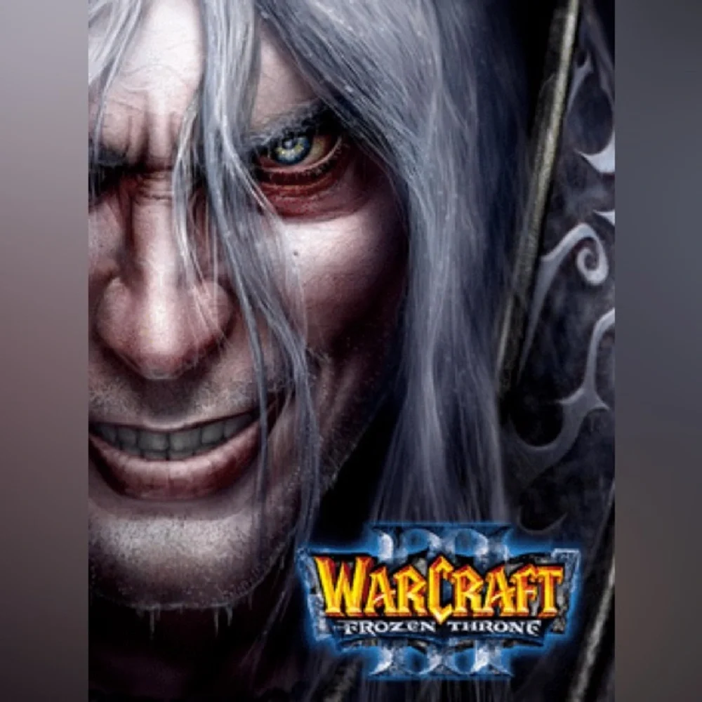 Blizzard Warcraft and Ubisoft Dark Messiah PC Game Discs